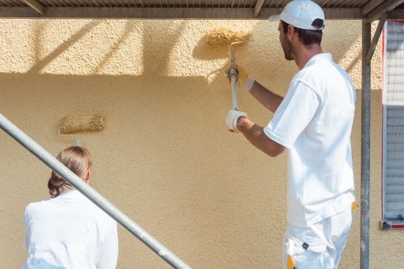Local Wall Painting pros at work